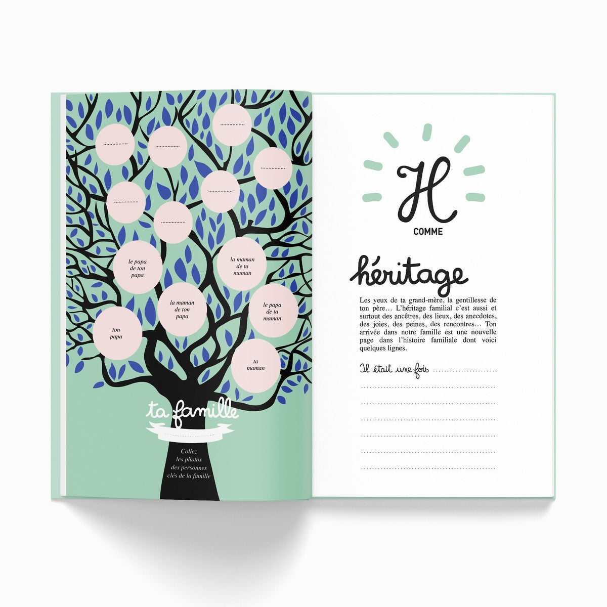 Livre de naissance "Ta 1ère année de A à Z"