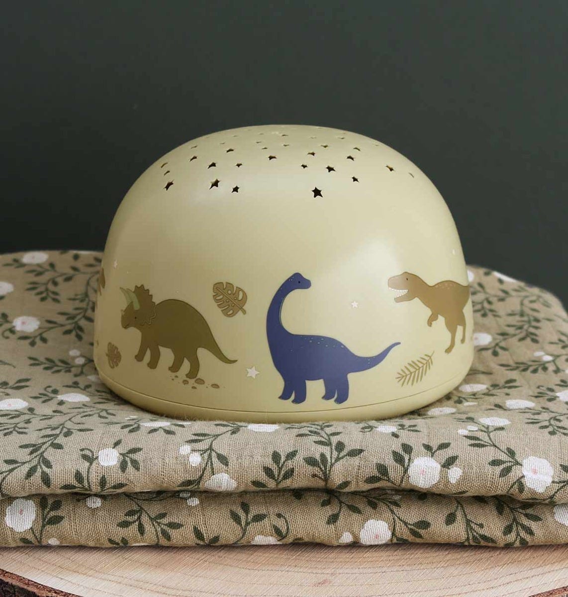 Projecteur Dinosaures - visuel 2
